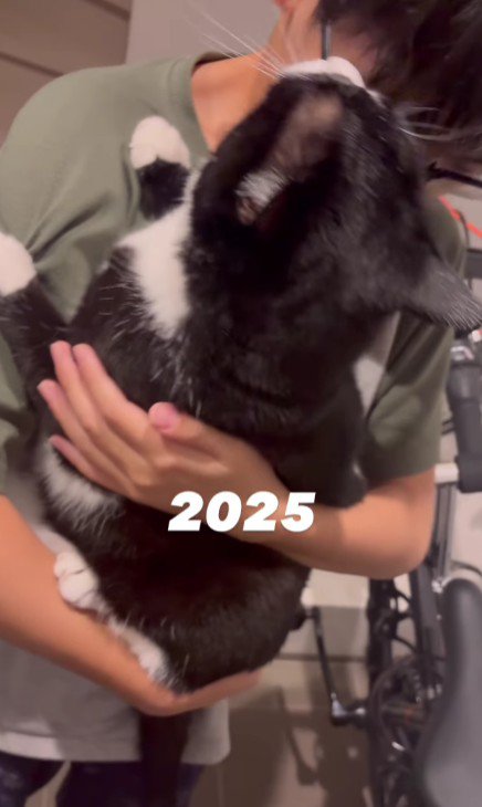 猫を抱っこしている男の子