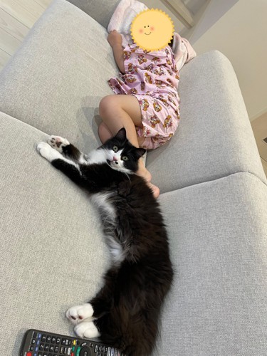 子どもと横になっている猫