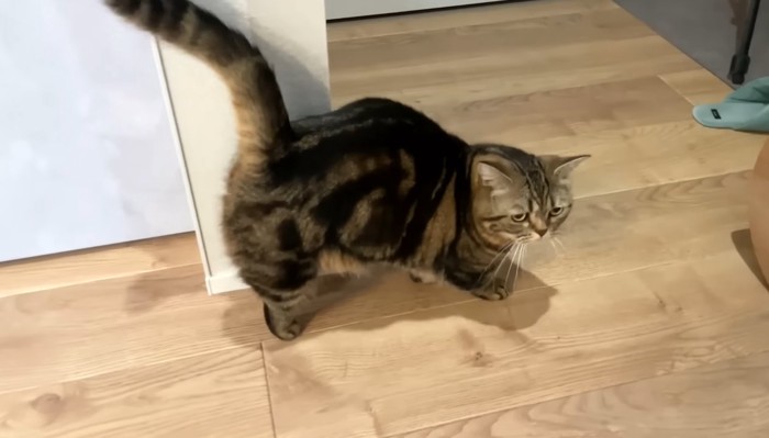 壁際で