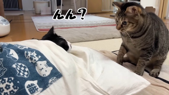 んん?
