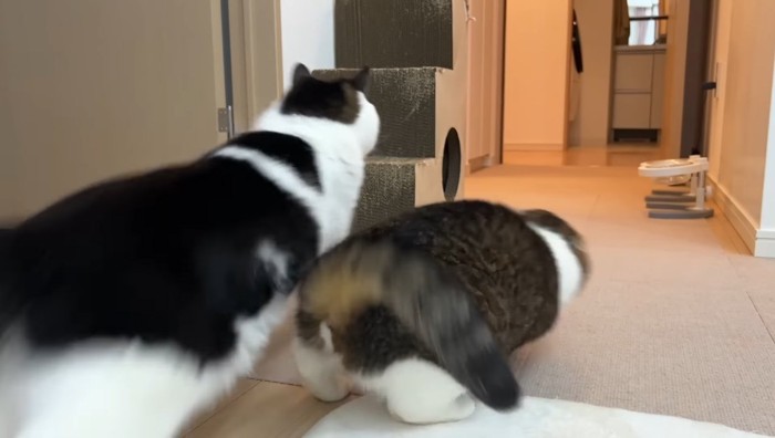 接触しそうなふたり