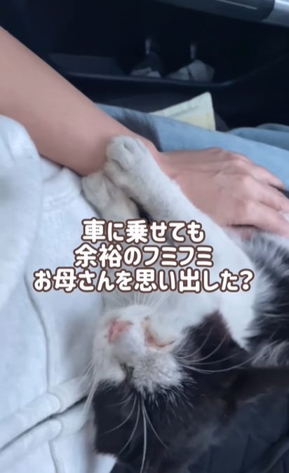 ふみふみ