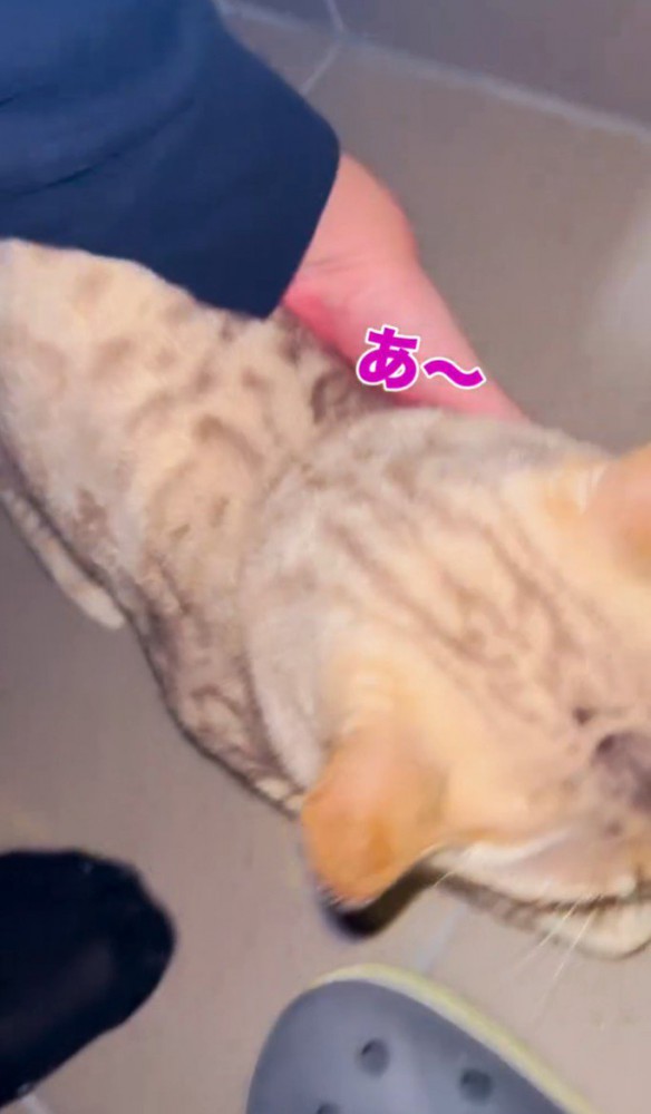 「あ～」と書かれた写真