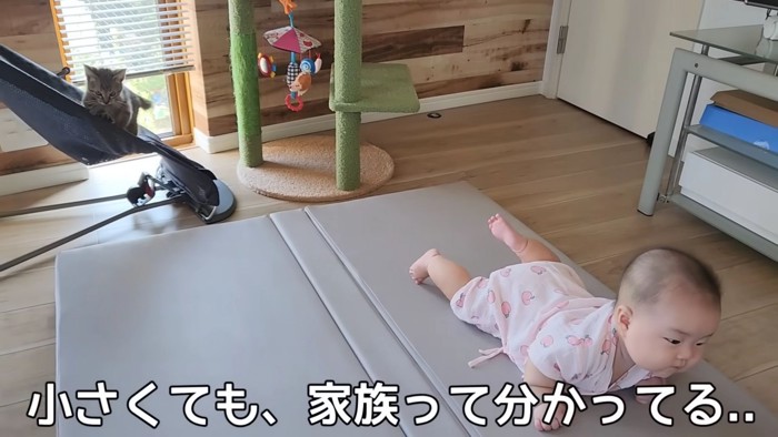 テロップ「小さくても、~」