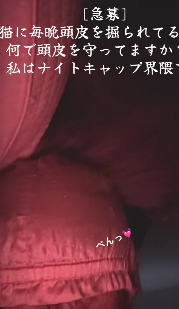 「[急募]猫に毎晩...」のテロップ写真1