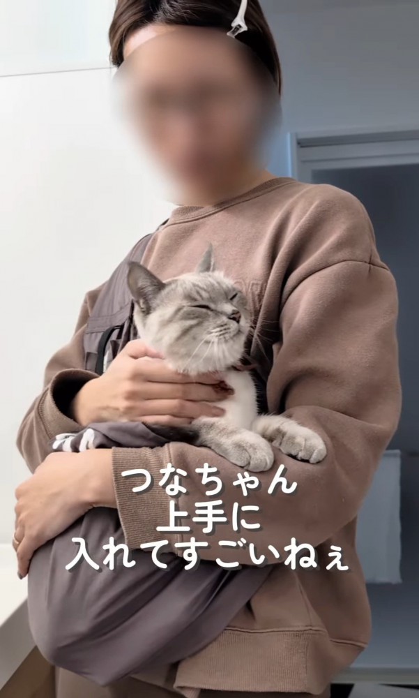 顔をなでられる猫