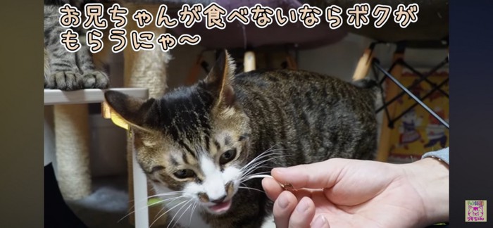 食べる