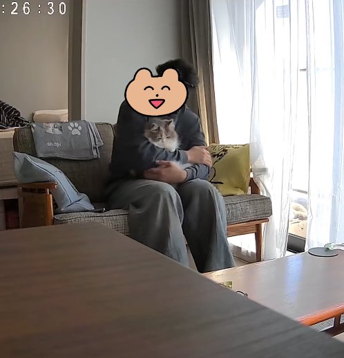 ソファに座って猫を抱っこしている男性（右に傾き）%ちゃぴちゃんが！