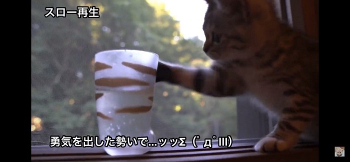 猫パンチ