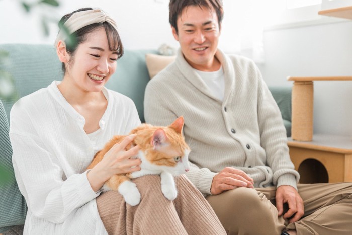 猫を撫でる夫婦