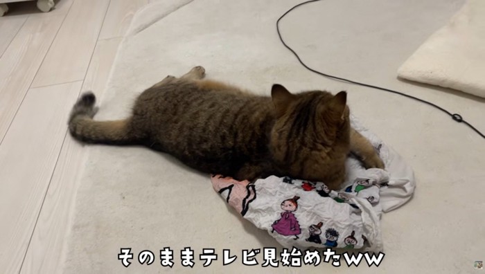 エコバッグの上で寝そべっている猫