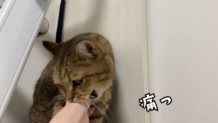 痛っ