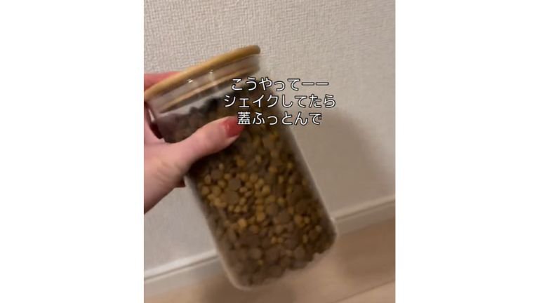 キャットフードの入った容器