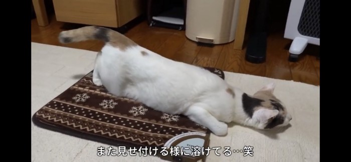 見せつけるように溶ける