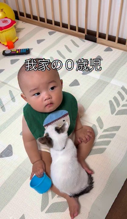 赤ちゃんの足の間に座るつなちゃん