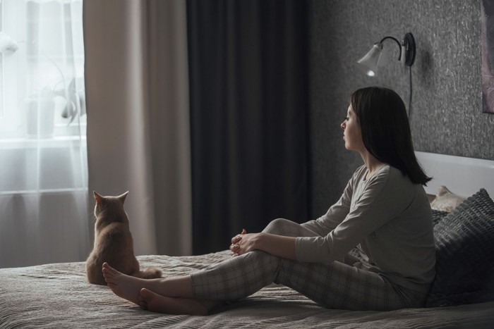 猫の背中を見守る飼い主