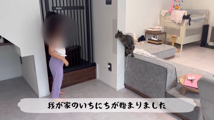 テロップ「我が家のいちにちが~」