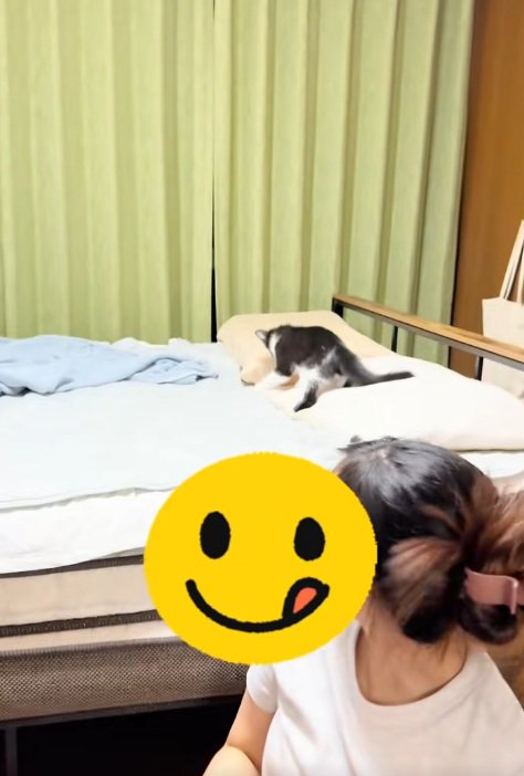 ベッドの上の子猫と振り返る飼い主
