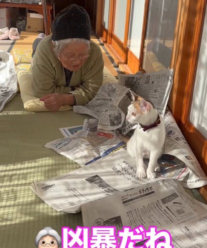猫とおばあちゃん