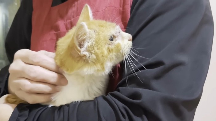 抱っこ