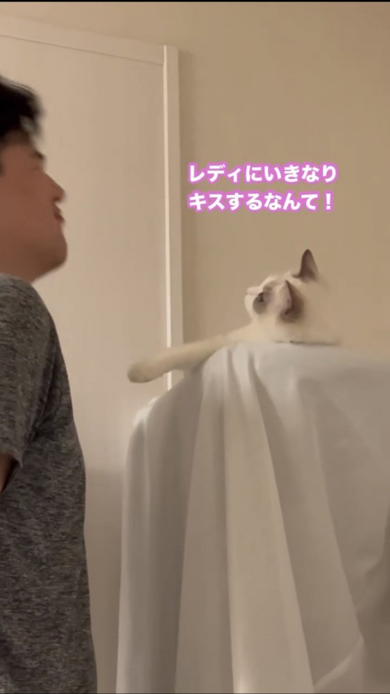 男性と猫