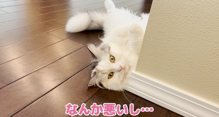 くつろぐ猫