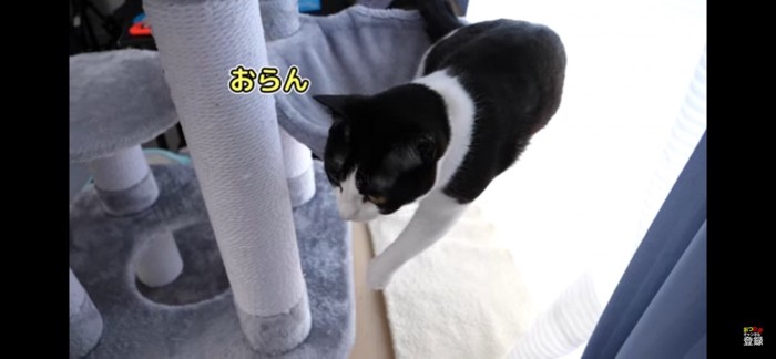 探す