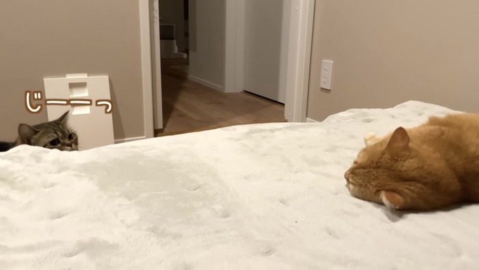 「じーっ」のテロップ写真