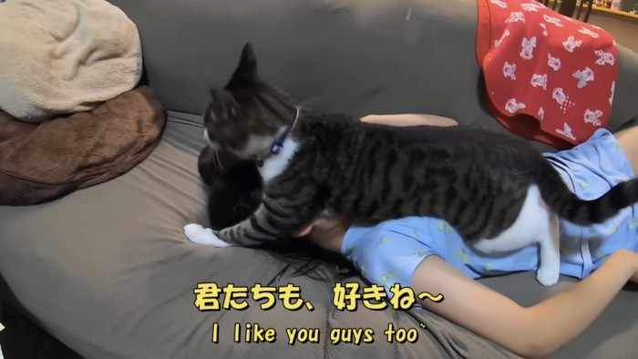 「君たちも、好きね～」のテロップ写真