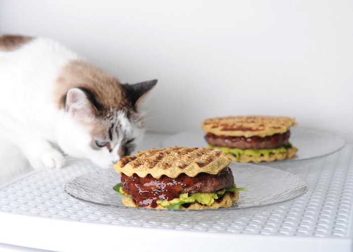 ハンバーグサンドを食べようとする猫