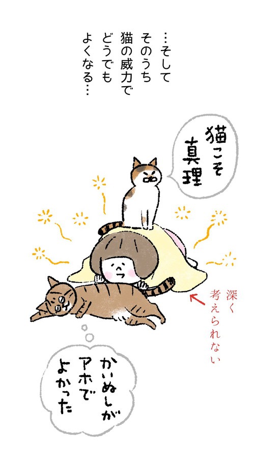 猫がいるから大丈夫