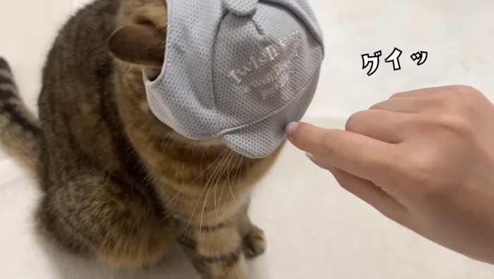 グイッ