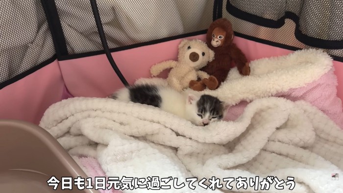 テロップ「今日も1日~」