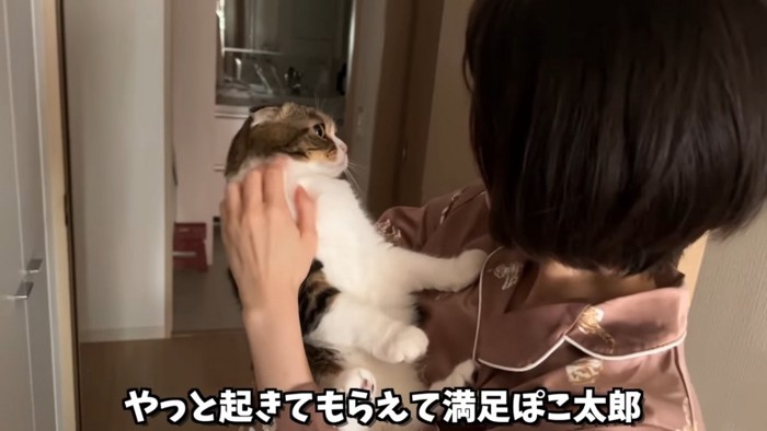 抱っこされる猫