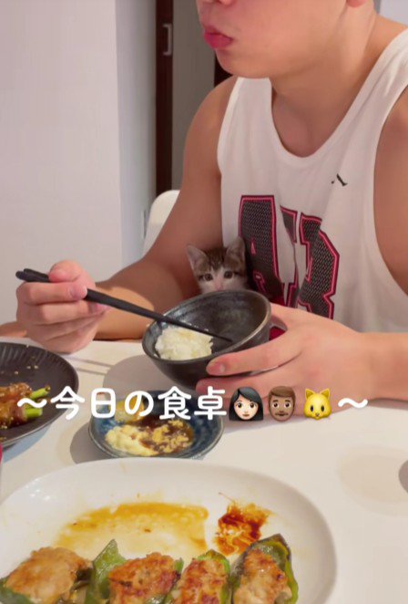 食事中の男性と子猫