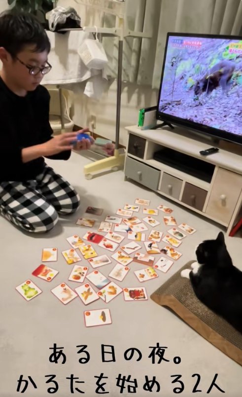 猫の前でカルタをしている子ども