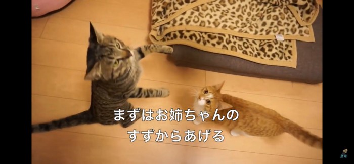 すずちゃんから