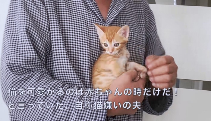 子猫を抱くパパさん