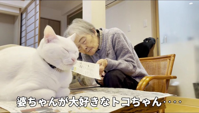 新聞を読む老人と、新聞の上に座って目を細める猫