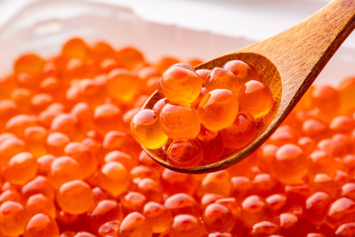 スプーンでイクラをすくっている光景