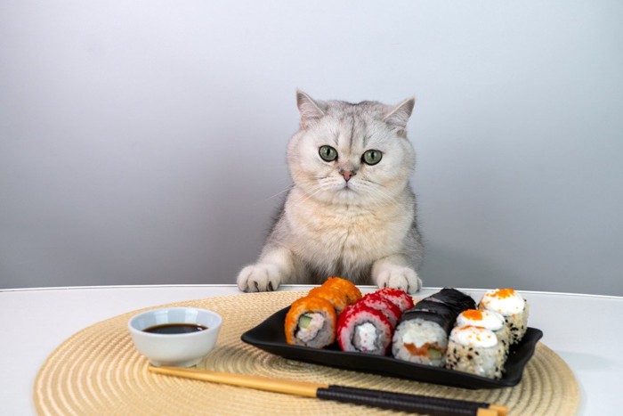 猫とお寿司