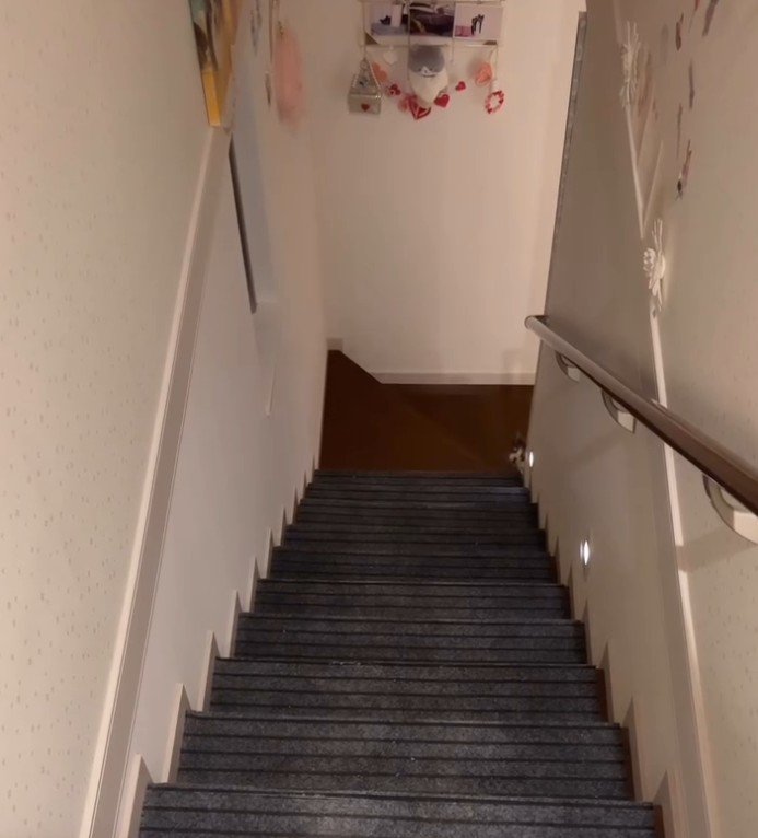 階段下で顔を出す猫
