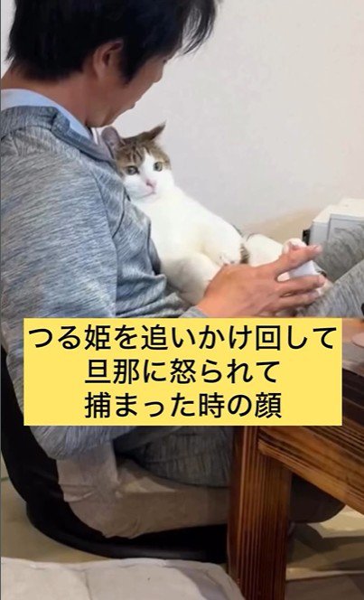 人に抱かれている猫