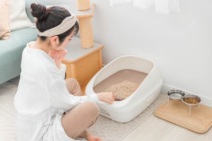 トイレが気になる飼い主