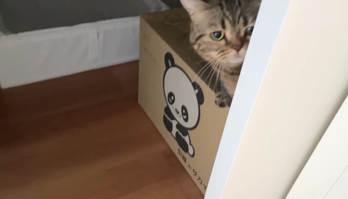 箱の上に