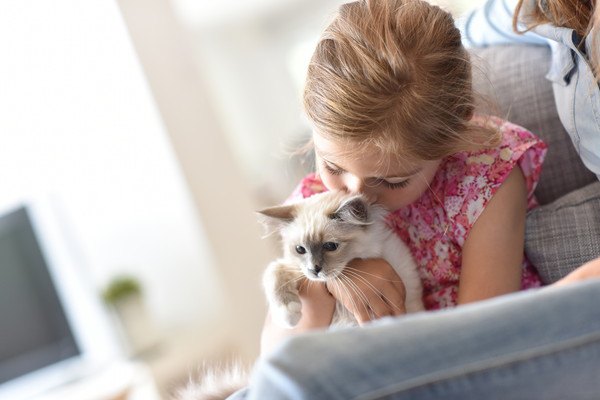 子供が子猫を抱っこする