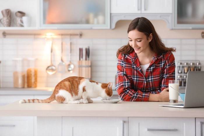 ご飯を食べる猫と女性