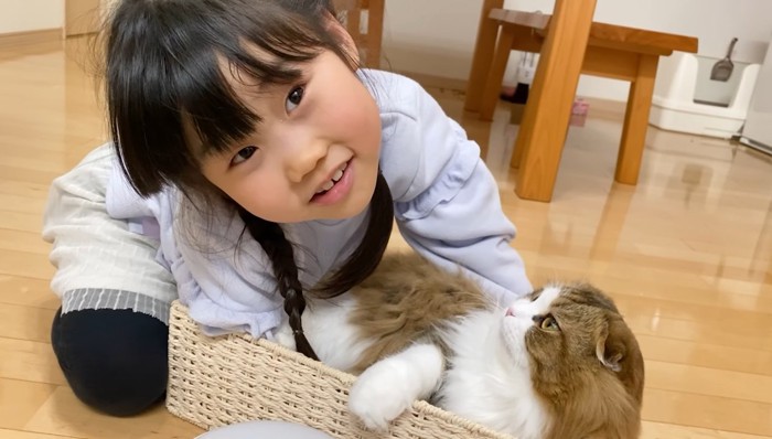 女の子を見上げる猫