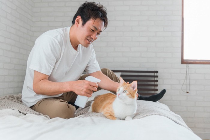 猫に水を吹き付ける男性