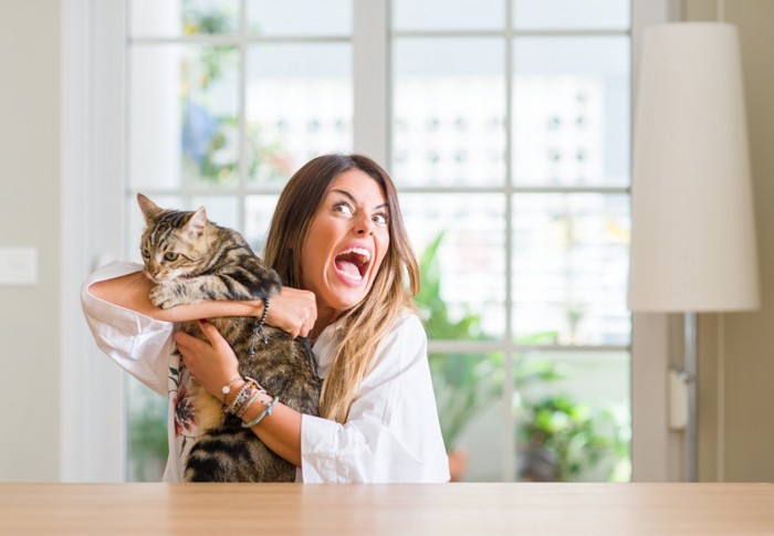 怒鳴っている女性と猫